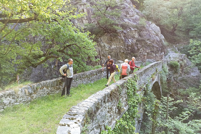 Sul Monte Navone, l'escursione raccontata da Gianpaolo Fabbri. Foto