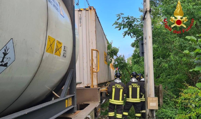 Treno merci travolge una pianta caduta sui binari e rimane bloccato