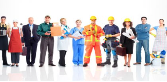 Offerte di lavoro del CPI di Novara: ecco le nuove proposte settimanali