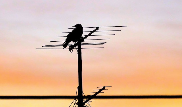 Digitale Terrestre, Confartigianato: scegliete antennisti abilitati