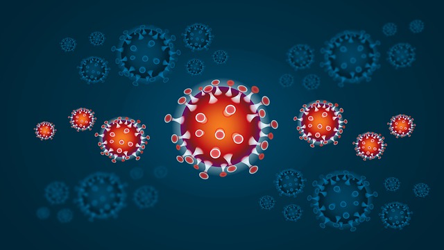 Covid: nelle acque reflue piemontesi dominante Omicron 5, la variante Centaurus non ancora trovata 