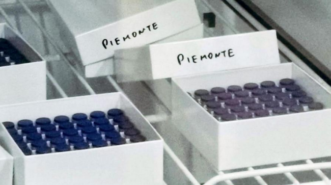 Oltre 1.400 preadesioni in due giorni per Novavax. Le prime 72.200 dosi in arrivo