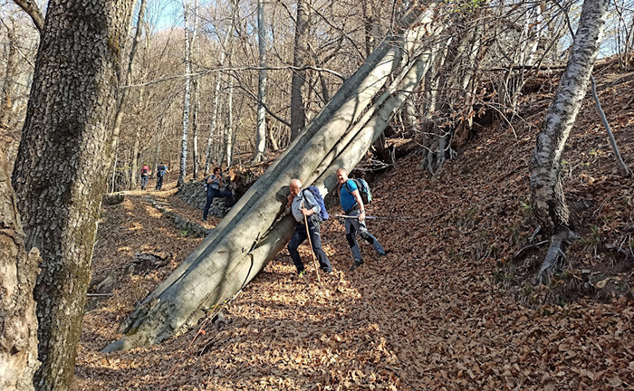 Al monte La Cavallina e all'Alpe Colma con Gianpaolo Fabbri. Foto