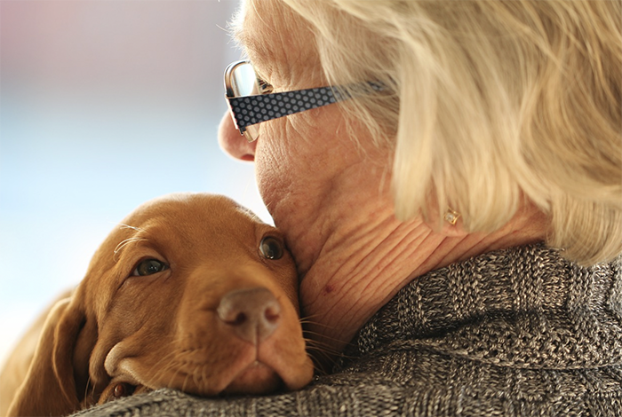 Pet therapy, le associazioni invitate in Regione. Aperte le adesioni