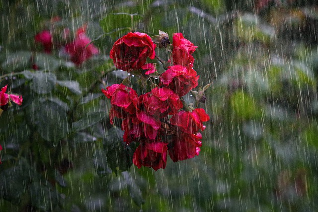 Meteo: temporali in arrivo è allerta gialla per venerdì