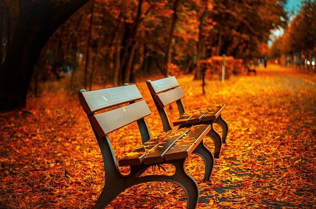 L'autunno? Quest'anno arriverà venerdì, 23 settembre 