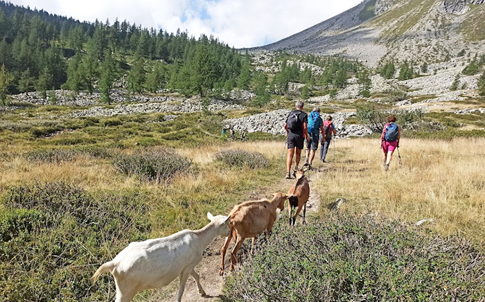 Alla Punta d'Orogna in gita con Gianpaolo Fabbri. Foto