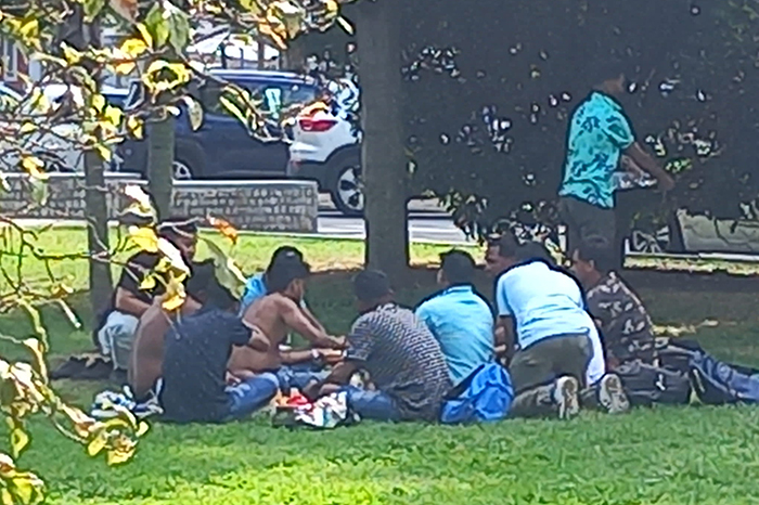 Fanno un picnic nei giardini pubblici, interviene la polizia locale 