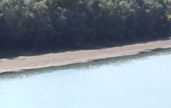 Acque del lago infestate dall'Elodea: si bonifica, in attesa non tagliarla