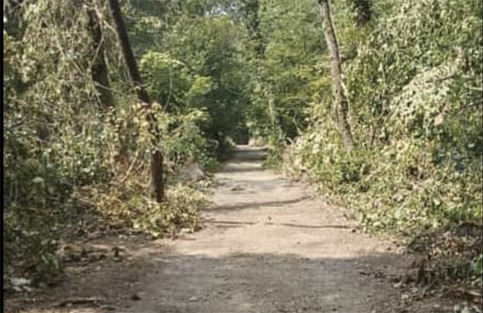 Revocato il divieto di transito sulle piste ciclabili del Parco del Ticino