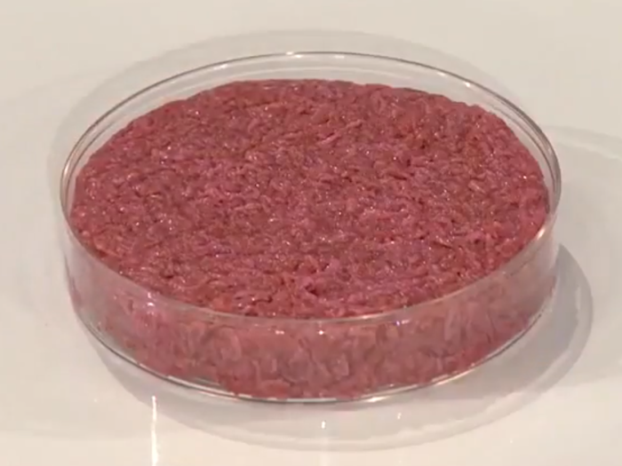 La nuova legge sul divieto di carne sintetica: ce ne parla l'avvocato Crapanzano 