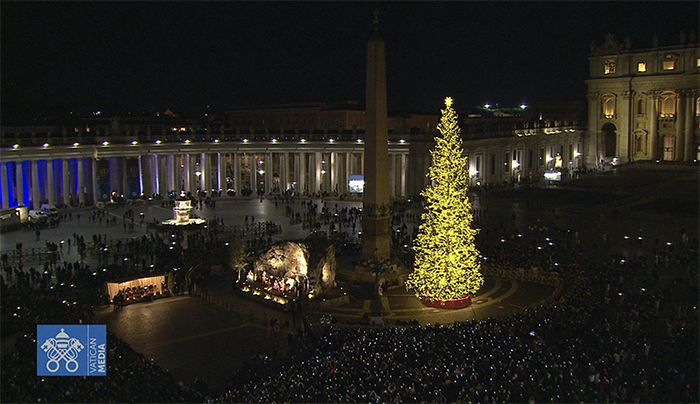 Acceso in San Pietro l'albero di Natale arrivato dal Piemonte