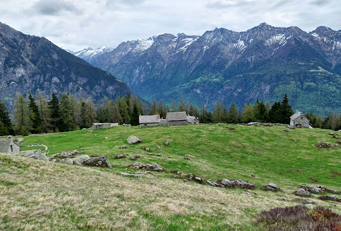 Gita all'alpe Deccia,uno degli alpeggi più belli dell’Ossola,con Gianpaolo Fabbri