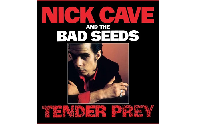 Nick Cave con “Tender Prey” in Rosario Elettrico di Gianvittorio Bentivoglio