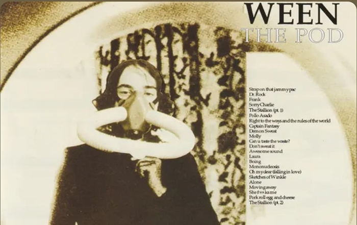 Gianvittorio Bentivoglio ci parla degli Ween nell'album The Pod