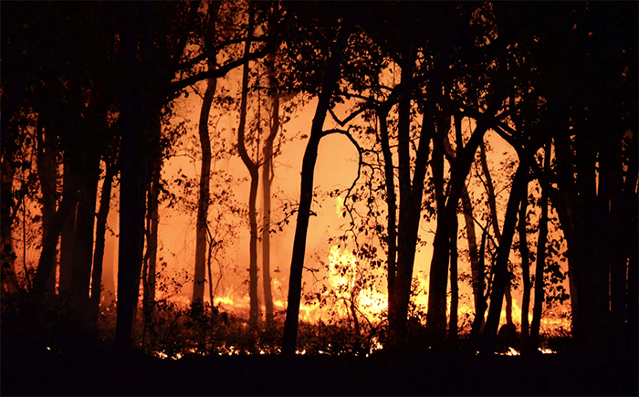 Incendi boschivi in Italia: indagine Uncem su prevenzione e gestione dell'emergenza