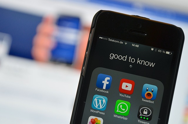 Sicurezza digitale: l'avvocato Crapanzano ci spiega il nuovo regolamento europeo Dsa