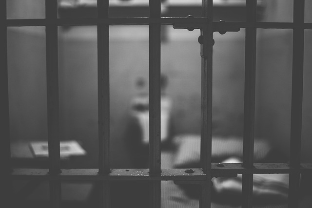 Sesso in carcere? La Corte costituzionale dice sì - di Carlo Crapanzano