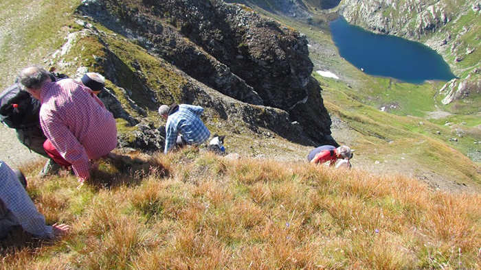 L'escursione alla Punta di Tanzonìa raccontata da Gianpaolo Fabbri. Foto