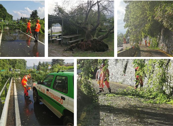 La statale 229 flagellata dal temporale: alberi divelti e rami abbattuti