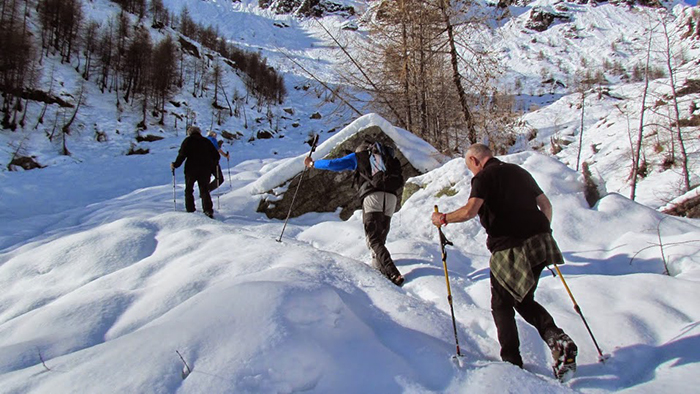 Gita all'Alpe Tanzonia e Alpe Vova con Gianpaolo Fabbri