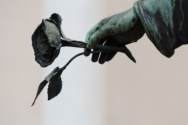 Il suicidio assistito in Italia, i requisiti. L'avvocato Carlo Crapanzano spiega 