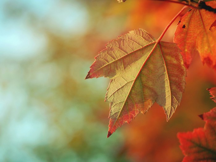 L'autunno arriva di domenica 