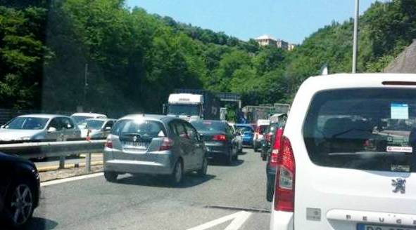Albero cade sull’A26: traffico rallentato tra Carpugnino e Meina