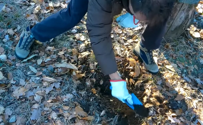 Monete antiche ritrovate a Brovello Carpugnino; segnalate alla Sovrintendenza