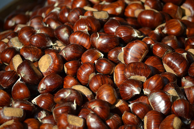 Sagra della castagna, domenica a Seppiana