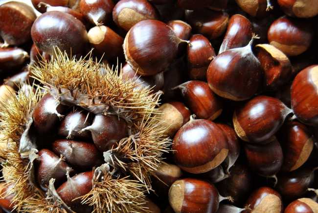 Goloso pranzo, caldarroste e merenda per tutti