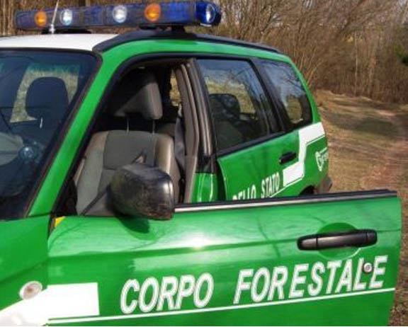 Nuovo sportello per la forestale dei due laghi