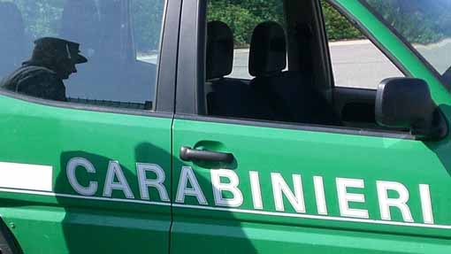 Controlli dei Carabinieri Forestali a ditte di cromatura metalli sul lago d'Orta