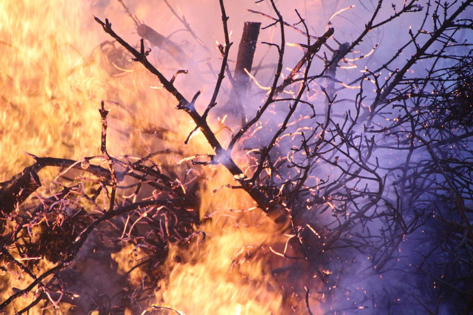 A fuoco delle sterpaglie. Incendio domato dai vigili del fuoco