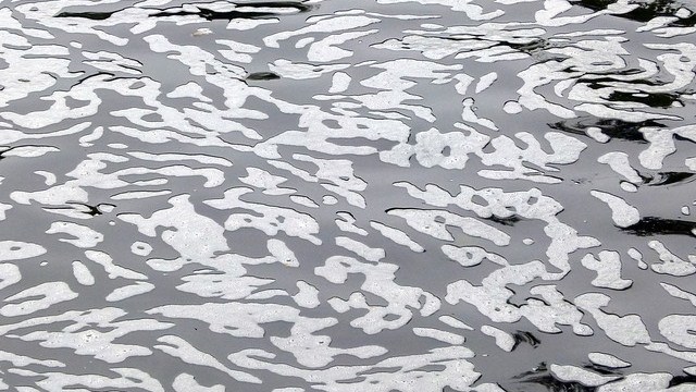 Costituita una task force tra i Comuni del lago e le forze dell'ordine per la salvaguardia delle acque