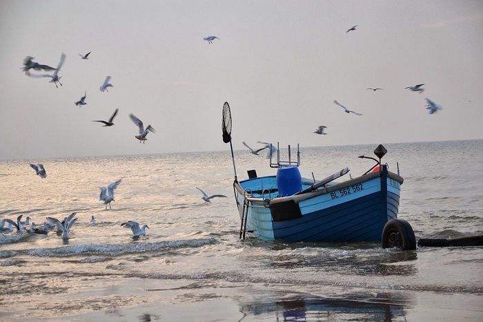 Emessi cinque bandi regionali a sostegno della pesca e dell’acquacultura