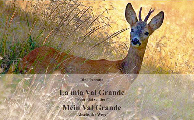 A Zornasco "Proiezioni sotto le stelle" con la presentazione del libro "La mia Val Grande... fuori dai sentieri" di Dino Perrotta