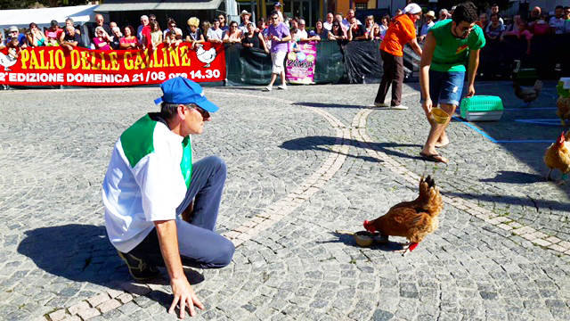 Palio delle galline di Villadossola: trionfa Falghera. Video e foto