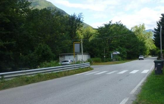 Lucciola fugge nel bosco alla vista della polizia: condannata perché non aveva i documenti
