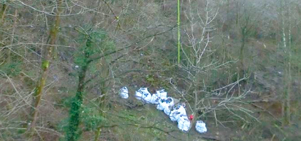 Rifiuti gettati nel bosco. Multa da 600 euro ad un domese