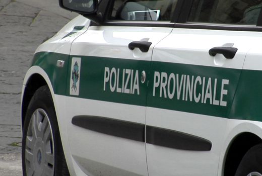 Fucili e esplosivi sequestrati in Val Canobina