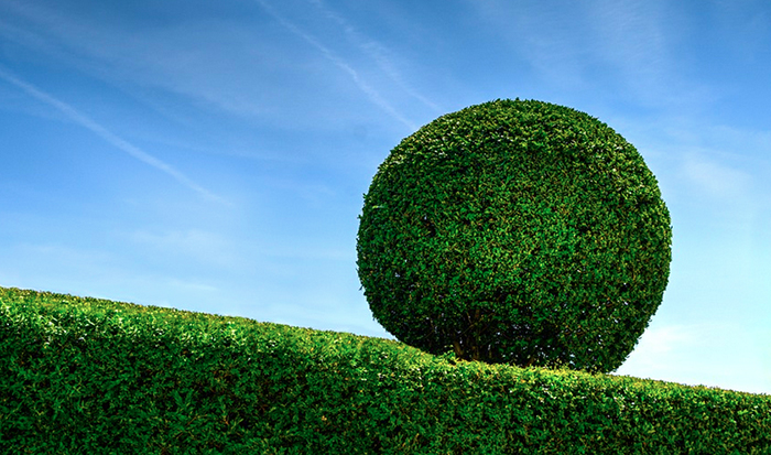 Omegna: si appalta la manutenzione del “verde”