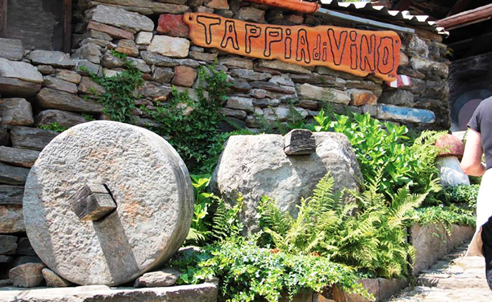 Ecco il programma dell'edizione 2016 di “Tappia di Vino”. Ci sono solo 700 posti