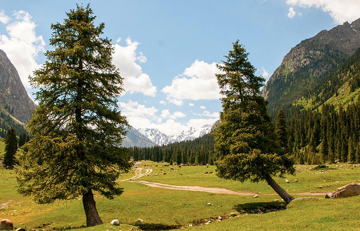Parco Transfrontaliero delle Alpi Lepontine, in Vigezzo la firma del “protocollo d'intesa”
