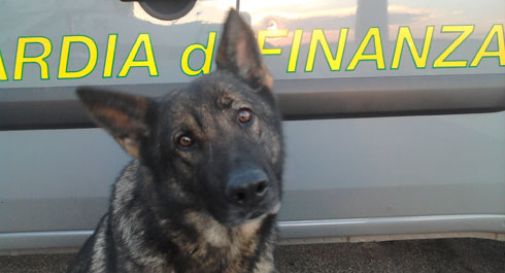Controlli antidroga e slot nei locali della movida