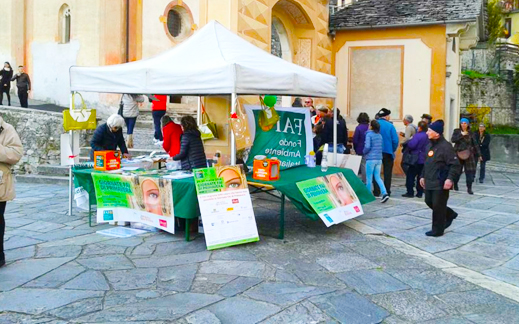 Giornate Fai di primavera a Crevola, circa 500 visite, ciceroni i ragazzi delle medie