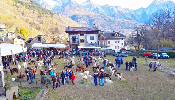 A Croveo la 16^ edizione di Craf in Crof