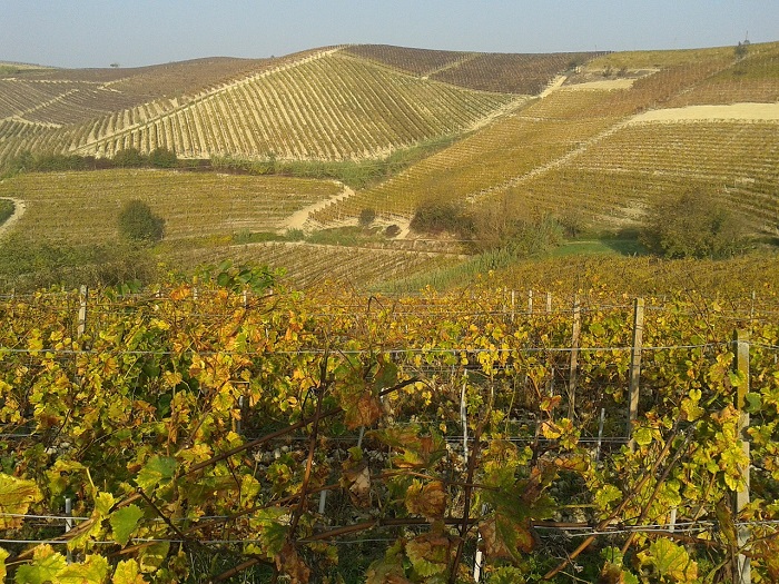 Scambi culturali nel Monferrato con l’Ecomuseo “Cusius” del lago d’Orta e Mottarone