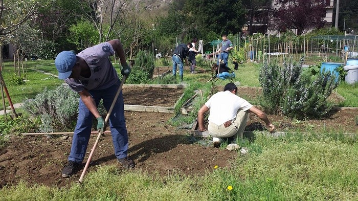 Assegnazione orti all’Oasi della Vita