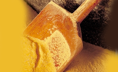 Inaugurazione per il nuovo mulino di Beura, si macinerà la rinomata polenta, e non solo...
